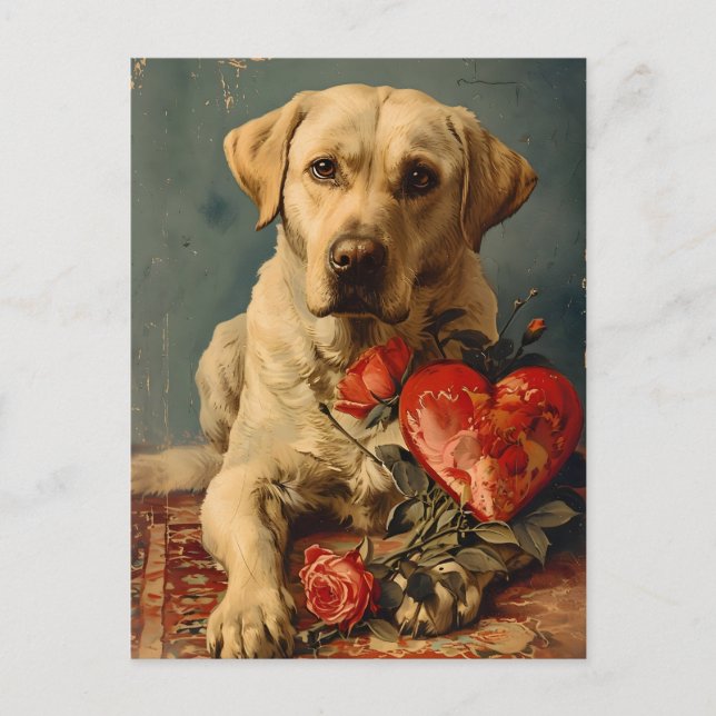 Labrador Vintage Valentine's day  Postcard (Front)