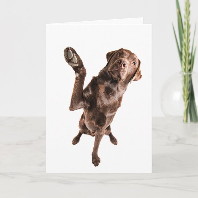 Labrador with a Big High Five Card (Front)