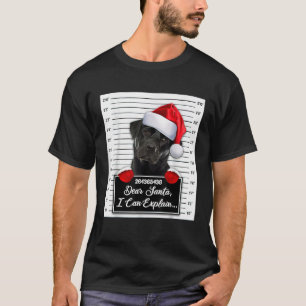 Labrador Xmas Dear Santa I Can Explain Funny Chris T-Shirt