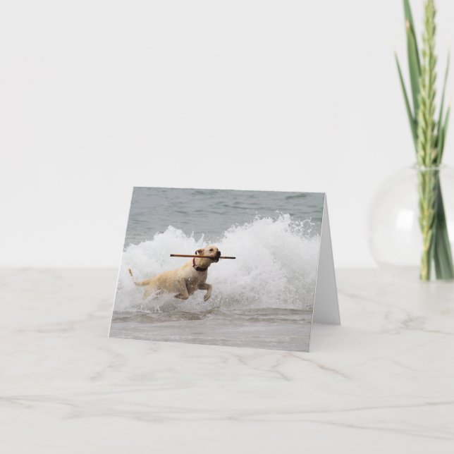 Labrador - Yellow - Go Fetch! Card (Front)
