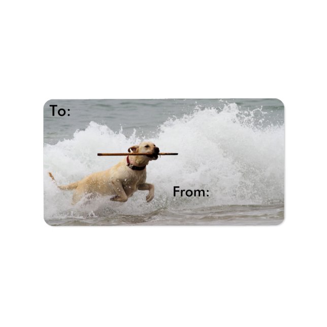 Labrador - Yellow - Go Fetch! Label (Front)