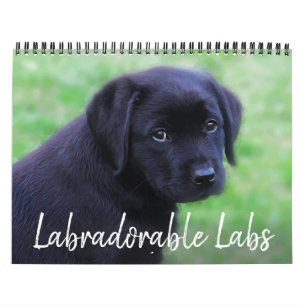 Labradorable Labs - Black Labrador Retriever Calendar