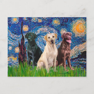 Labradors (3) - Starry Night Postcard
