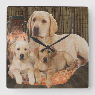Labrardor retriever clock