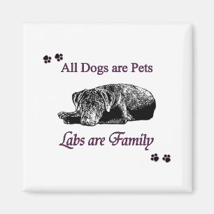 Labs are Family Magnet