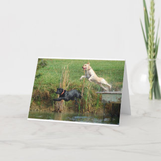 Labs Card