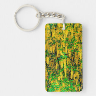 Laburnum alpinum key ring
