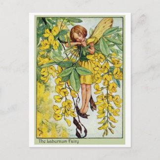 Laburnum Fairy Postcard
