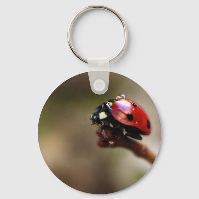 LABYBIRD KEY RING (Front)