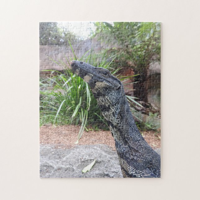 Lace Monitor Puzzle (Vertical)
