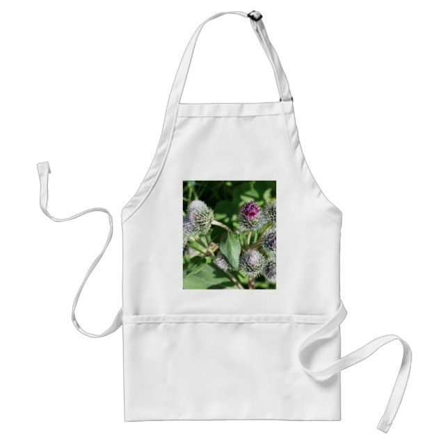 lace over thistle standard apron (Front)