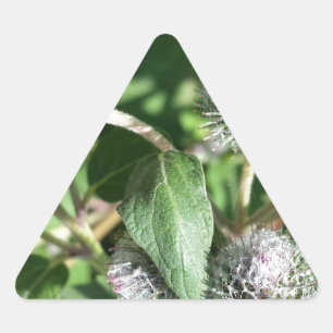 lace over thistle triangle sticker