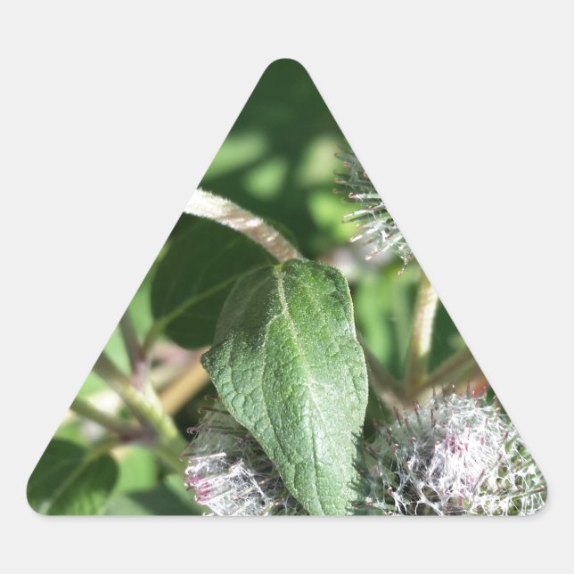 lace over thistle triangle sticker (Front)
