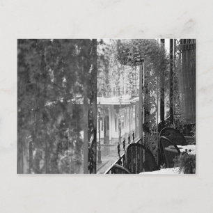 Lace View French Quarter New Orleans Postcard