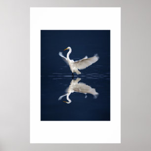 Lace Wings on Blue Poster