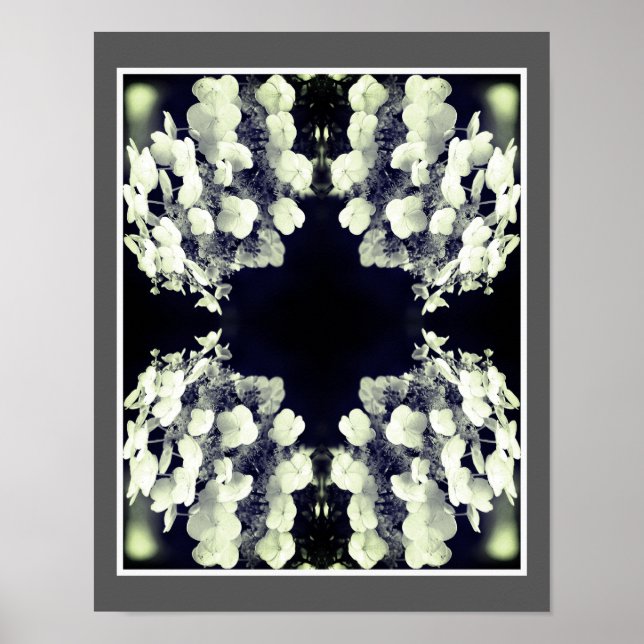 Lacecap Hydrangea Black And White Abstract     Poster (Front)