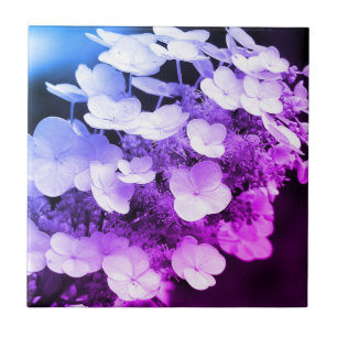 Lacecap Hydrangea Black And White Colour Tint  Ceramic Tile