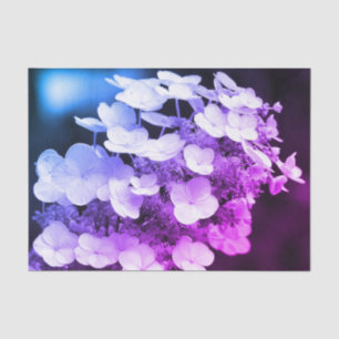 Lacecap Hydrangea Black And White Tint Decoupage Tissue Paper