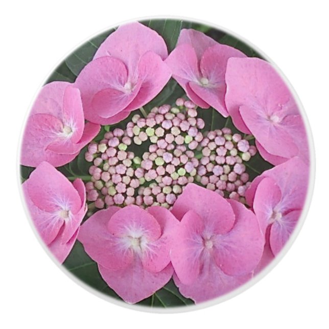 Lacecap Hydrangea Ceramic Pull (Front)