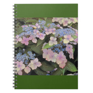 Lacecap Hydrangea Notebook