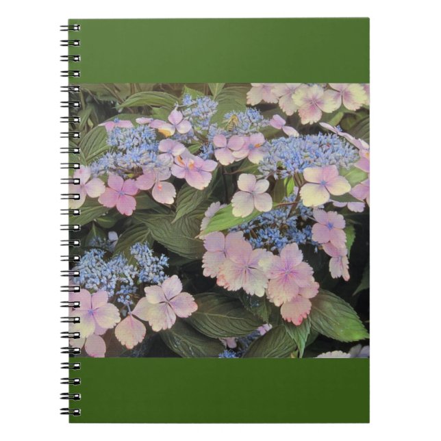 Lacecap Hydrangea Notebook (Front)
