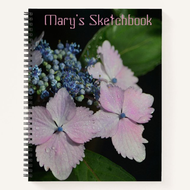 Lacecap Hydrangea Sketch Notebook (Front)