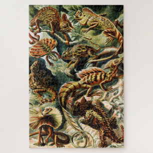Lacertilia Lizards by Ernst Haeckel Jigsaw Puzzle