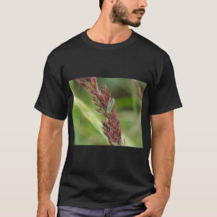 Lacewing Insect Nature Tee Print