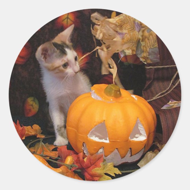 Lacey  - Halloween Cat / Kitten Stickers (Front)