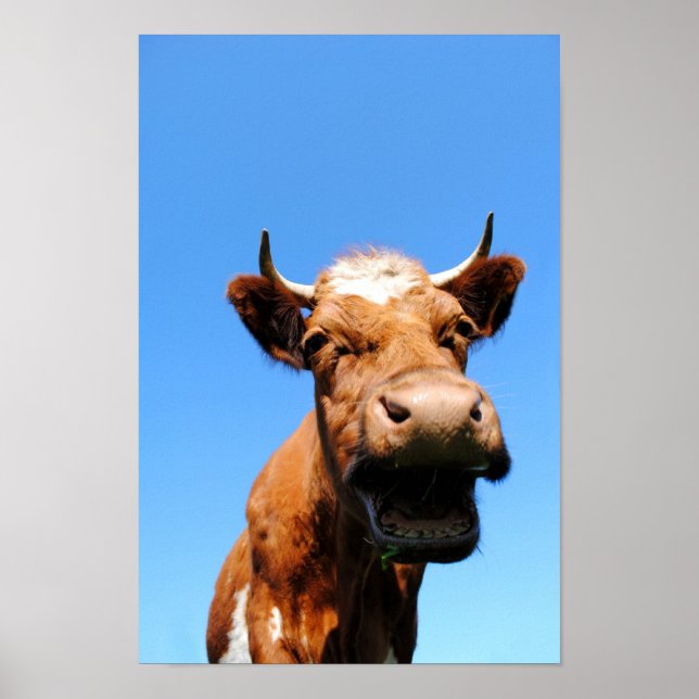 Lachende Kuh Poster (Front)