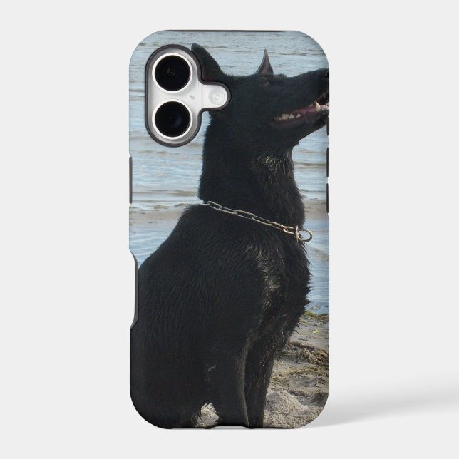 Lacquer Black German Shepherd (Back)