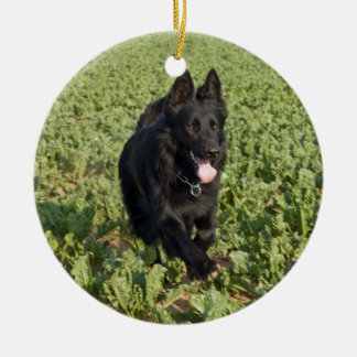 Lacquer Black German Shepherd Ceramic Ornament