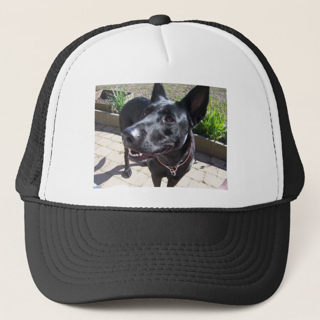 Lacquer Black German Shepherd Trucker Hat (Front)