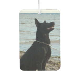 Lacquer Black GSD at the Beach Car Air Freshener