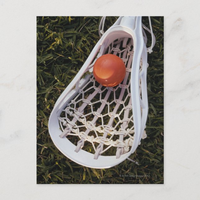 Lacrosse Stick and Ball Postcard (Front)