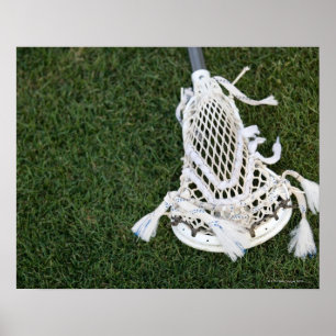 Lacrosse stick on grass poster