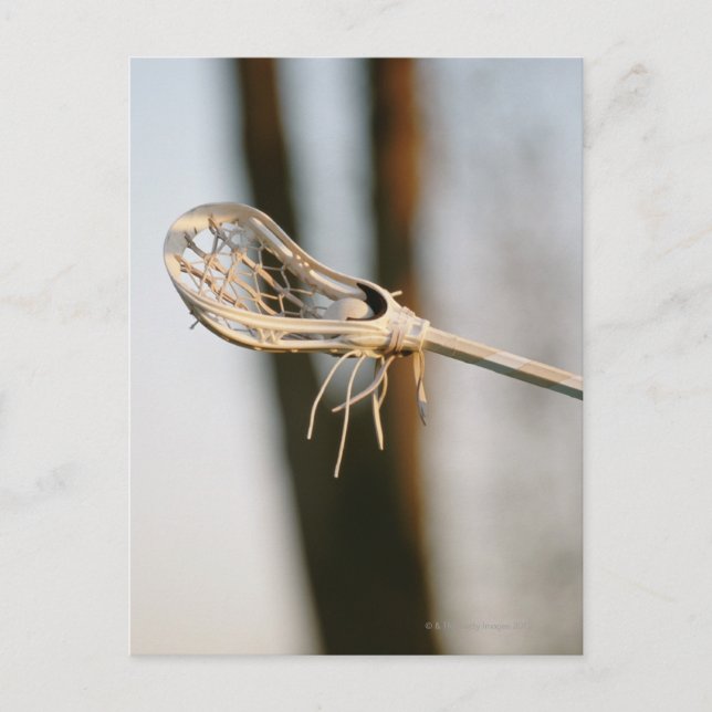 Lacrosse Stick Postcard (Front)