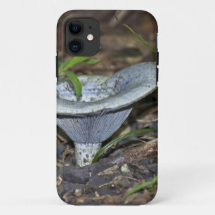 Lactarius indigo Blue Mushroom iPhone 11 Case
