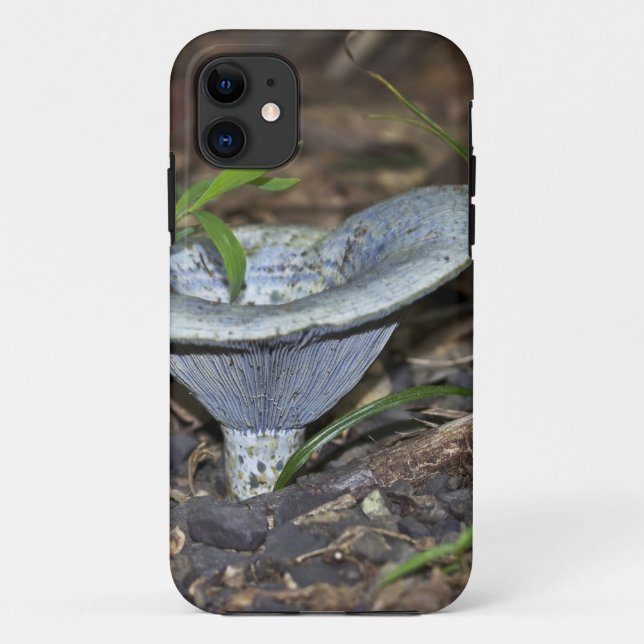 Lactarius indigo Blue Mushroom Case-Mate iPhone Case (Back)