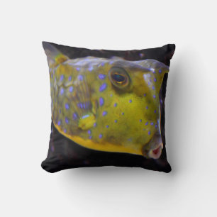 Lactoria cornuta cushion