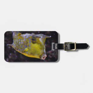 Lactoria cornuta luggage tag