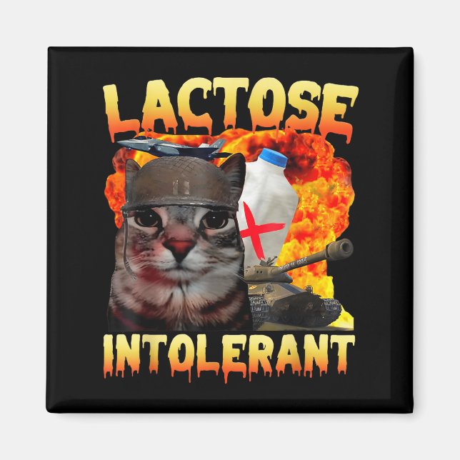Lactose Intolerant Silly Cat Meme Funny Saying Cat Magnet (Front)