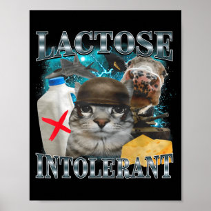 Lactose Intolerant Silly Cat Meme Funny Saying Cat Poster
