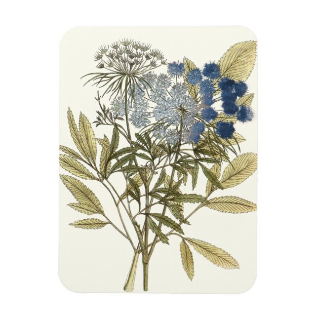 Lacy Leaves - Flowers and Greenery Magnet (Vertical)