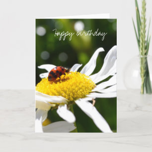 Ladbybug and Daisies Card