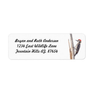 Ladder-Backed Woodpecker Return Address Label