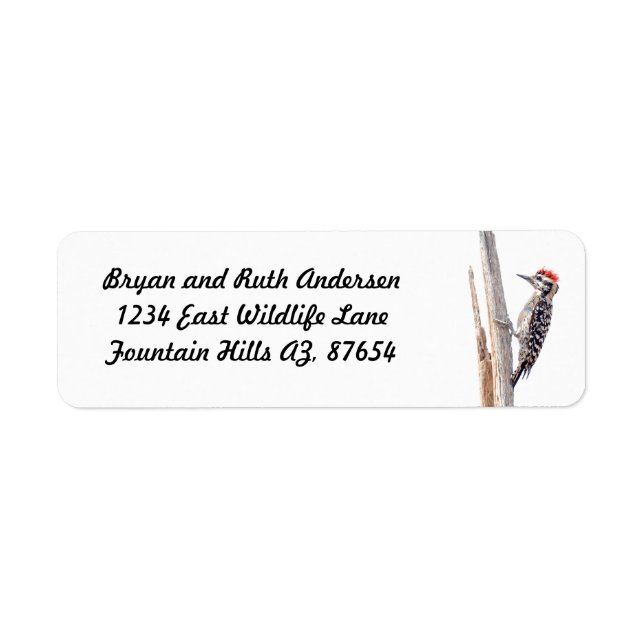Ladder-Backed Woodpecker Return Address Label (Front)