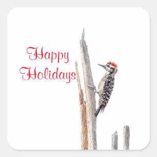 Ladder-Backed Woodpecker Square Sticker