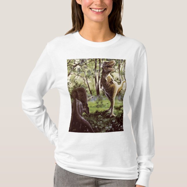 Ladies Long Sleeve T-Shirt (Front)
