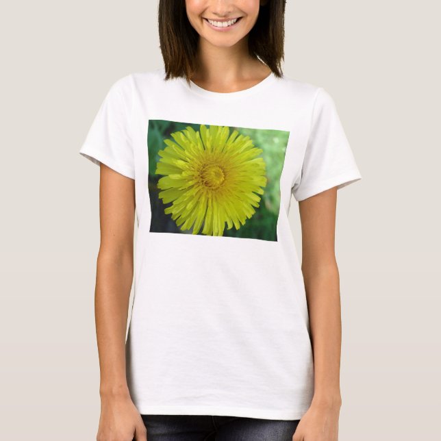 Ladies T-Shirt - Dandelion (Front)
